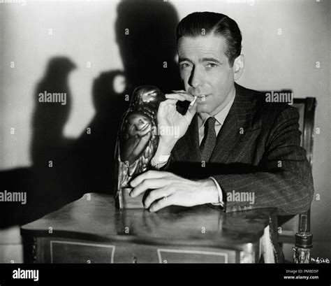 Humphrey Bogart,"The Maltese Falcon," 1941 Warner Bros. File Reference # 32914 970THA Stock ...