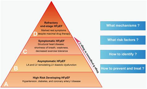 Development and Challenges of Pre-Heart Failure with Preserved Ejection Fraction