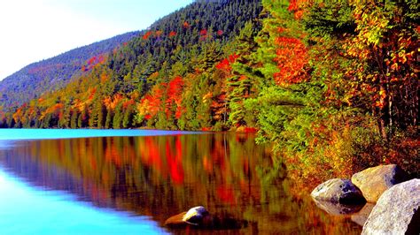 awesome Autumn Forest Lake In High Quality | Forest falls, Park landscape, Autumn forest