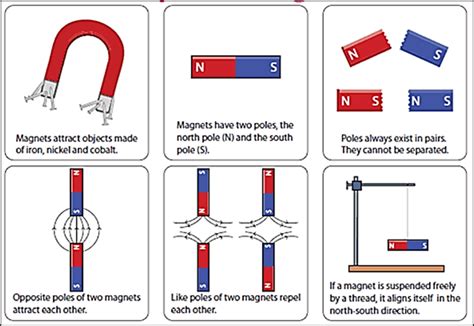 Magnetic Properties Of Materials Sellers Sale | tratenor.es