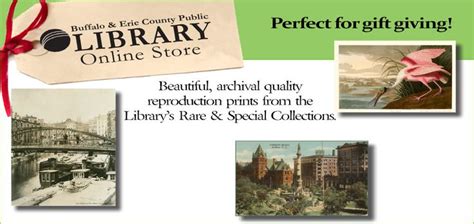 Buffalo & Erie County Public Library Online Store | Library, Public ...