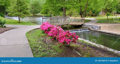 Hagerstown City Park, Hagerstown, Maryland Stock Photo - Image of flower, nature: 160158318