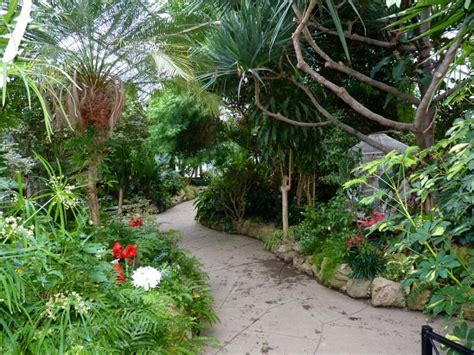 Centennial Park Conservatory