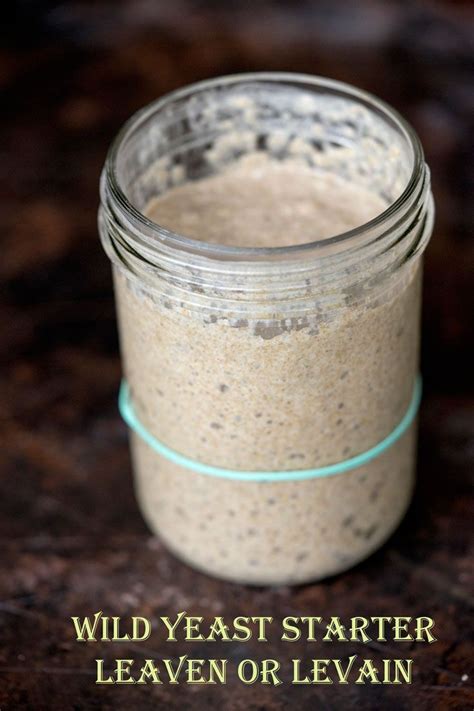 Sourdough starter video recipe. Flour + Water + time = Wild Yeast Starter, leaven, or levain ...