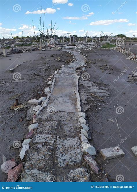 Old Abandoned Road in Desert Area. Stock Photo - Image of forgotten, trees: 169541200