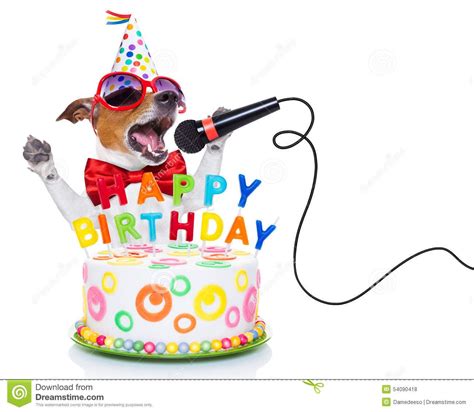 happy-birthday-dog-jack-russell-as-surprise-singing-son… | Alles gute zum geburtstag hund, Alles ...