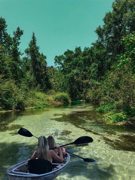 Kayaking Rock Springs in Clear Kayaks! in 2020 | Kayaking, Rock springs, Florida travel