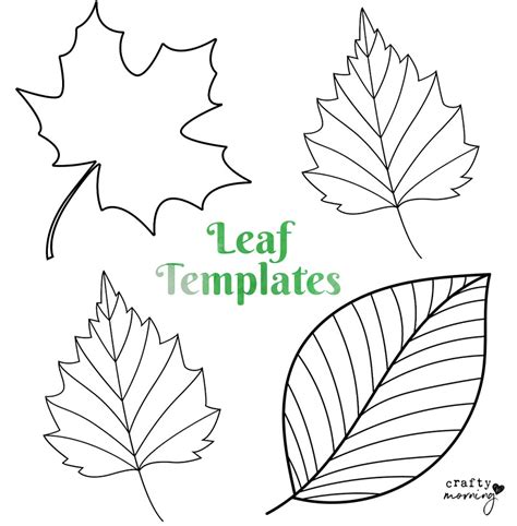 Printable Leaf Outline Templates - Crafty Morning