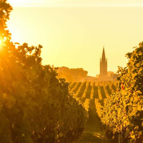 News & Information | Vineyard Transactions | Vineyards-Bordeaux