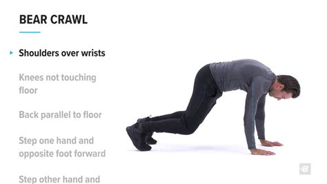 Bear Crawl Exercise | EOUA Blog