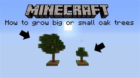 Novament: Minecraft Oak Tree Farm Layout