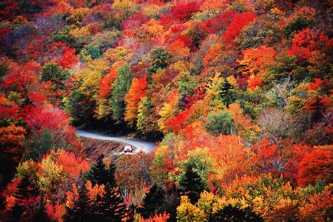 Peak Fall Foliage Will Likely Arrive Late This Year