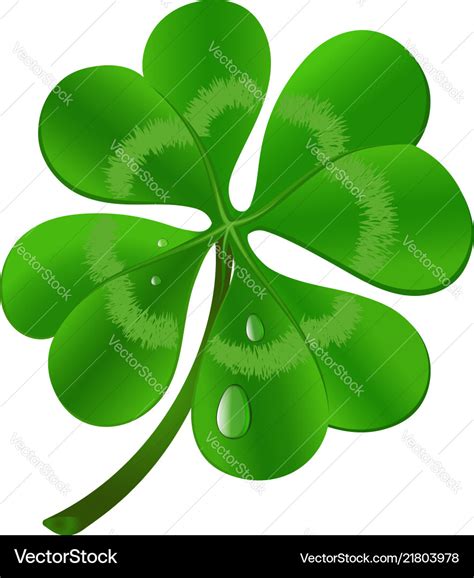 Four leaf clover - st patricks day symbol Vector Image