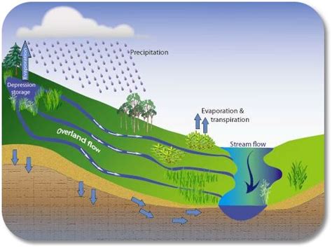 Water Cycle Runoff Definition