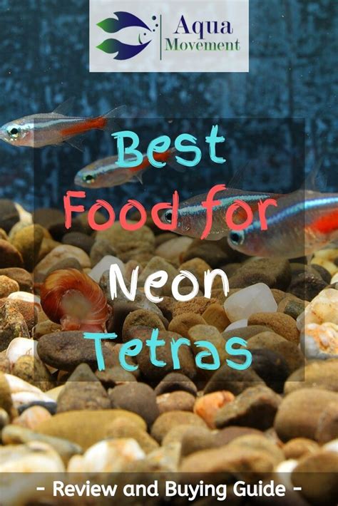 Our buying guide will help you find out about the best food for neon ...