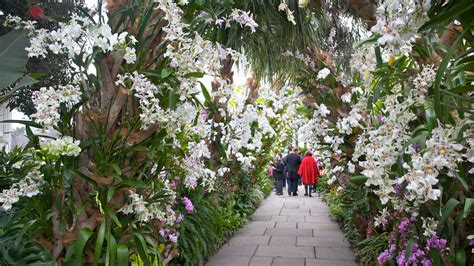 New York Botanical Garden – Garden Review | Condé Nast Traveler