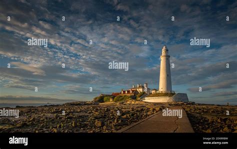 St. Marys lighthouse at sunset Stock Photo - Alamy