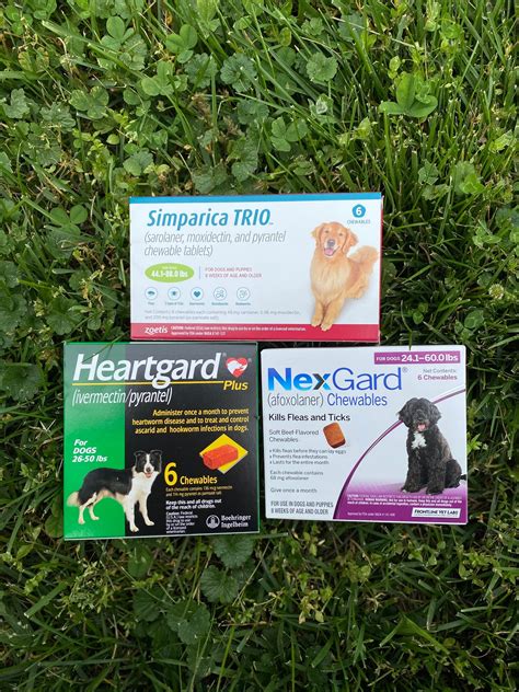 Flea, Tick and Heartworm Prevention - Catoctin Veterinary Clinic