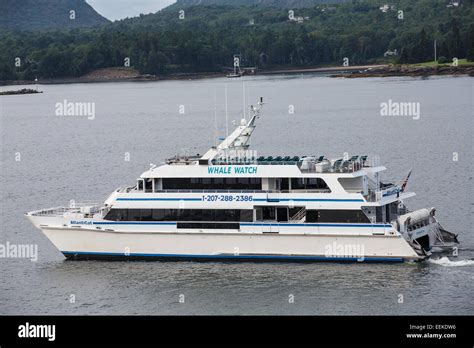 A blue and white whale watching boat near Bar Harbor, Maine Stock Photo ...