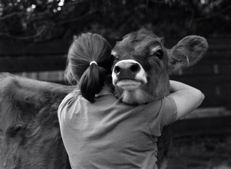 The 19 Most Heartwarming Images of Animals and Humans Hugging