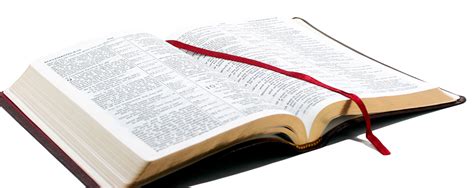 open bible PNG transparent image download, size: 1050x418px