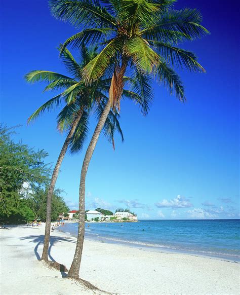 Rockley Beach, South Coast, Barbados by Kathy Collins