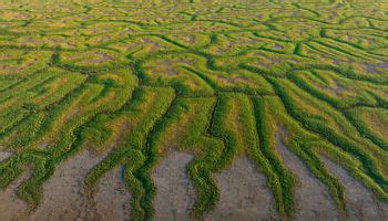 Help protect Channel Country rivers and floodplains - Queensland Conservation Council