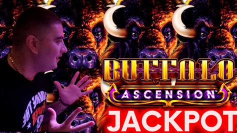 NEW BUFFALO ASCENSION Slot HANDPAY JACKPOT & BONUSES - YouTube