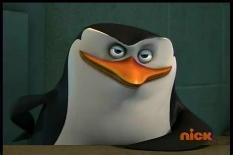 Skipper - Skipper: The penguins of madagascar Photo (31445361) - Fanpop