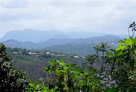 Best Gold Coast Hinterland Walks | Must Do Gold Coast