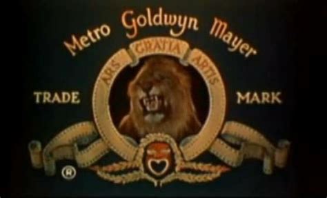 Tanner the 5th MGM lion | Mgm lion, Mgm, Metro goldwyn mayer