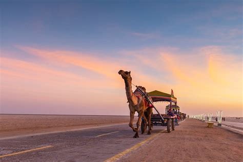 Places to Visit in Kutch (Gujarat) – OYO Hotels: Travel Blog