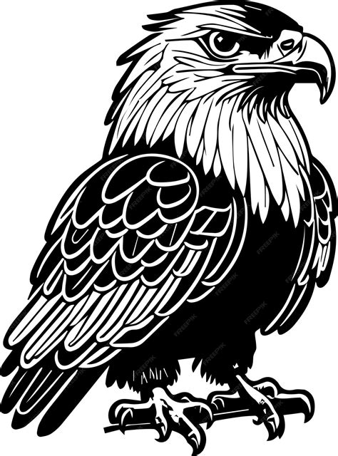 Premium Vector | Eagle vector illustration black color