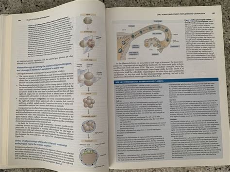 Human Molecular Genetics Book, 4th edition, Tom Strachan | Kaufen auf ...