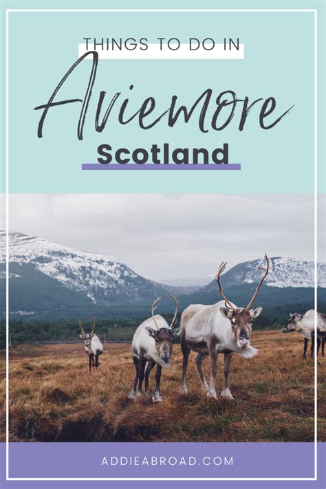 Top 5 Things To Do in Aviemore, Scotland - Addie Abroad