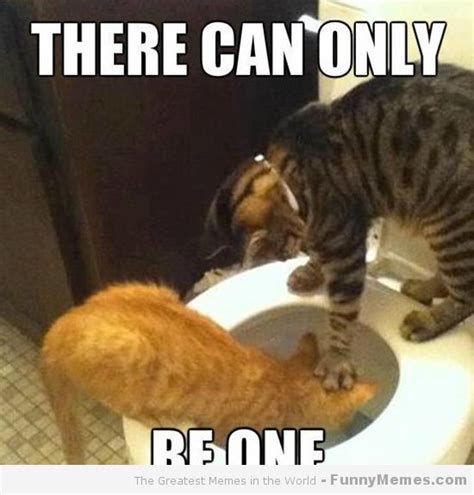 There Can Only Cat Meme - Cat Planet | Cat Planet