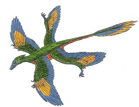 Microraptor Size