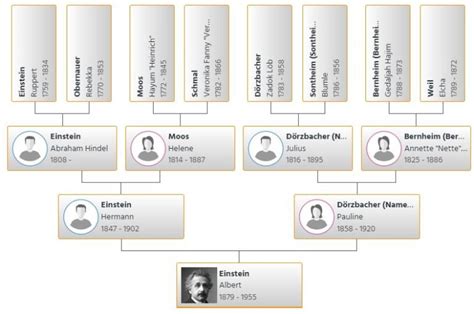 Albert Einstein Family Tree