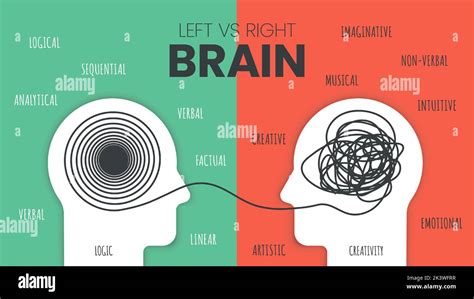 Left Brain vs. Right Brain Dominance infographic template. How the human brain works theory ...