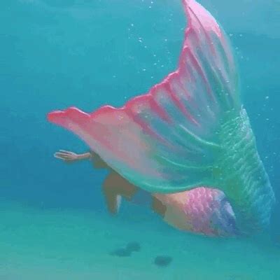 GIF discovered by patricia carrera. Discover (and save!) your own images and videos on We Heart ...