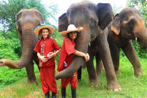 Elephant Rescue Park Chiang Mai - Best Elephant Sanctuary