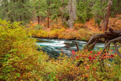 The DESCHUTES is America's Most Beautiful National Forest (PHOTOS)