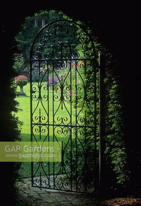 Wrought iron gate in hedge - Coton Manor Wrought Iron Gate Designs, Wrought Iron Garden Gates ...