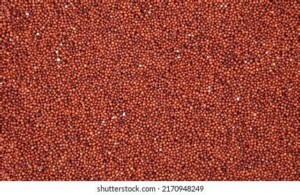 Close Finger Millet Spread On Surface Stock Photo 2170948249 | Shutterstock