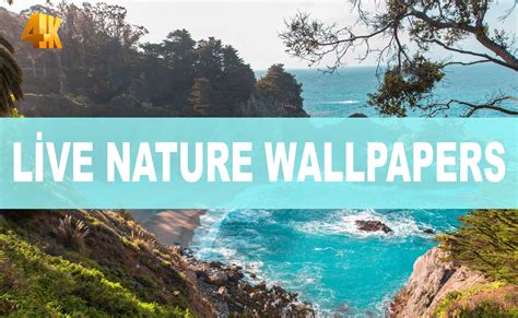 4K Live Nature Wallpapers - Live Wallpapers Prepared for Your Device ...