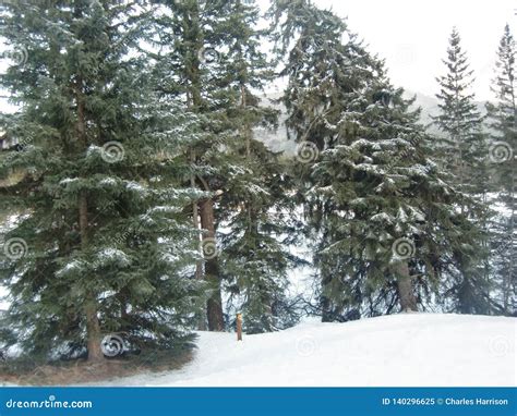 Canadian Winter Wonderland stock image. Image of country - 140296625