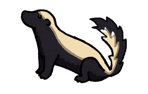 Badger PNG Transparent Images, Pictures, Photos