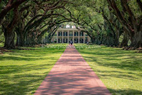 Oak Alley Plantation - PhotoEscape