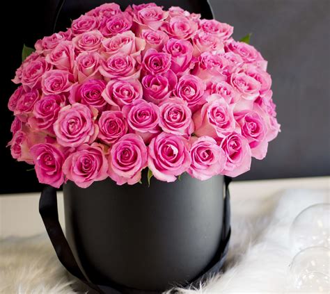 4 Dozen Roses Arrangement in Miami , FL | Luxury Flowers Miami