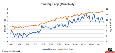 Hog Market Update: March 2023